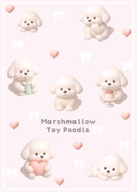 pink Marshmallow Toy Poodle 03_2