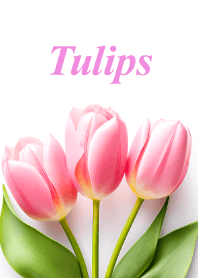 "Tulips vol.9" theme