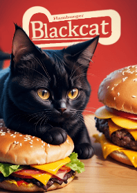 Black cat and hamburger