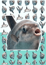 Ação ao vivo de peixe-lua Emerald