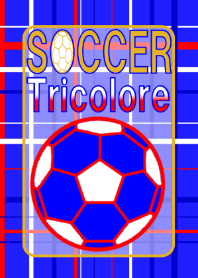 サッカー(トリコロールカラー)