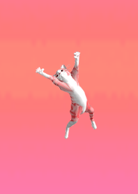 Red Cat fly!