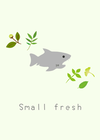 Green leaf shark - small fresh