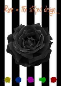 Rose × the striped design
