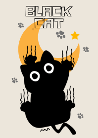 달에 매달린 검은 고양이