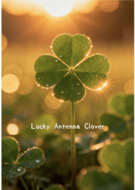 Lucky Antenna Clover