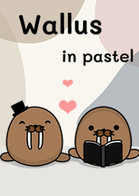 Wallus in pastel