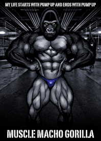 筋肉マッチョゴリラ 02