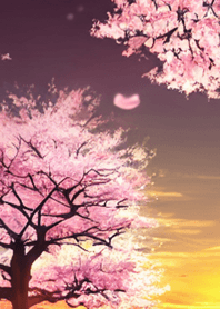 桜の花咲く頃#AR_1。