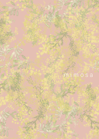 flower of mimosa 2023