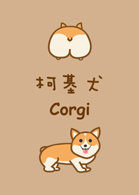 可愛萌萌柯基狗狗