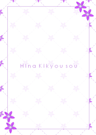 Hinakikyousou_small venus looking-glass