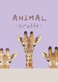 ANIMAL - Giraffe - LAVENDER