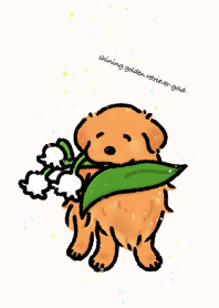 shining golden retriever-gold-