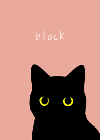 Staring Black Cat on pink & blue