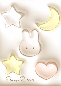 beige Fluffy moon and rabbit 05_2