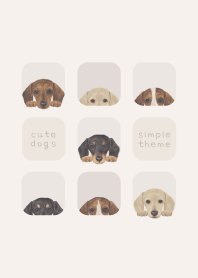 DOGS - dachshund - BEIGE