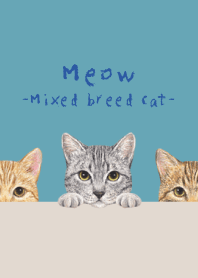 Meow -Mixed breed cat 03- TURQUOISE BLUE