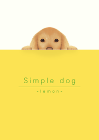 simple dog/lemon yellow