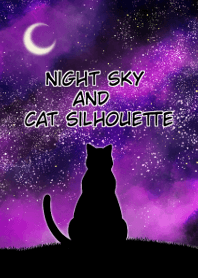 Night sky and cat silhouette