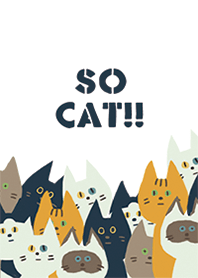 SO CAT!!