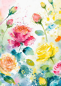 Beautiful rose flower(R4801)