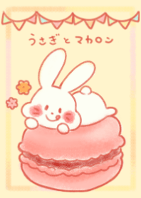 Rabbit and Macaroon