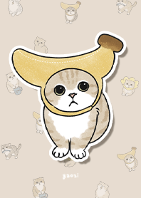 neko combo3 / almond