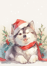 クリスマスハスキー ❤️