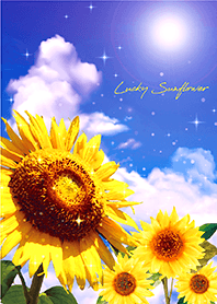 Bring good luck Blue sky & Sunflowers 2