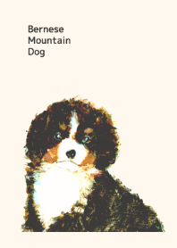 Bernese Mountain Dog Brown