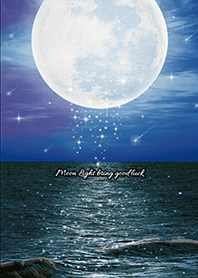 幸運を引き寄せる☆月夜の海