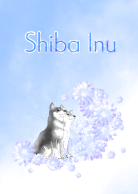 柴犬（黒＆赤）と紫色のお花