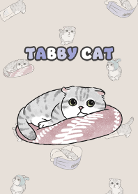 tabbycat9 / dark beige