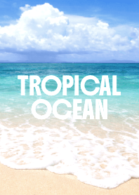 TROPICAL OCEAN THEME 43