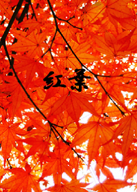 紅葉