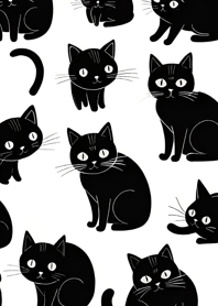 น่ารักสุด ๆ แมวดำ v7gaA