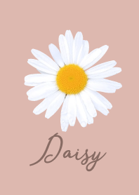 Daisy_pink01