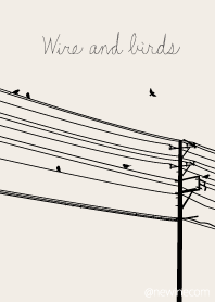 電線と鳥