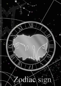 12星座 双子座 星図Ver.