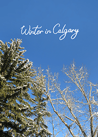 Winter in Calgary (27)