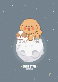 Dog Night Space Gray