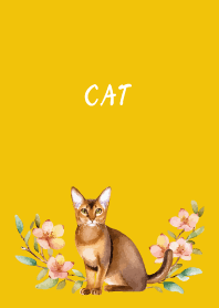 Abyssinian on yellow