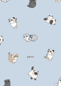 neko combo1 / baby blue