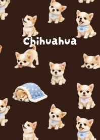 I love Chihuahuas01 brown