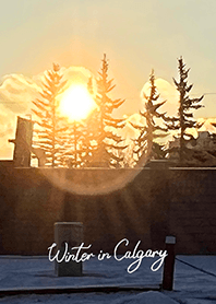 カルガリーの冬 (15)