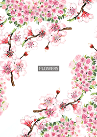 water color flowers_664