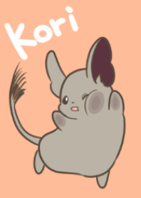 デグーのコリちゃん