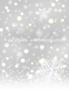 Winterwonderland@MerryChristmas!!