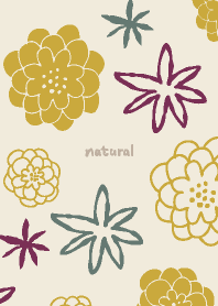 Flowers that make you feel cheerful13 J